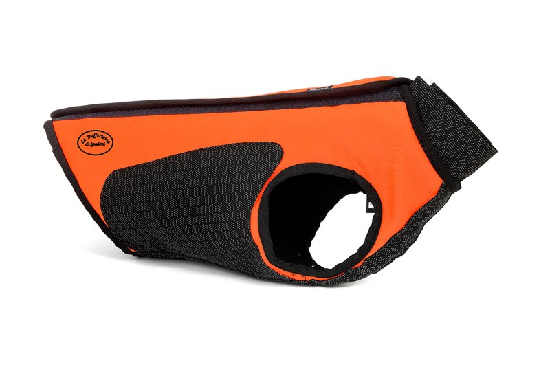 NEW SAFETY DOG IN CORDURA/KEVLAR/PUTEK X CANI DA BATTUTA  Buffetteria Spadoni